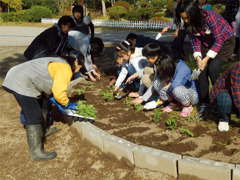 原発事故による避難生活を続ける子どもたちと、会津若松市河東地区のボランティア「河東大熊フレンズ」の皆さんとの花の苗の植え付け作業の様子